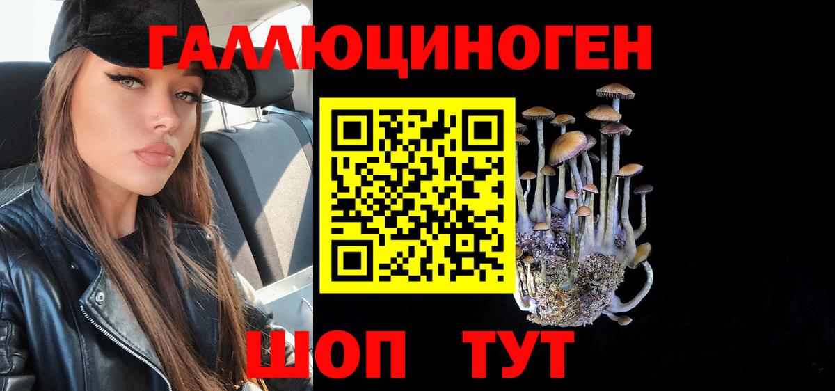Галлюциногенные грибы мицелий Таганрог